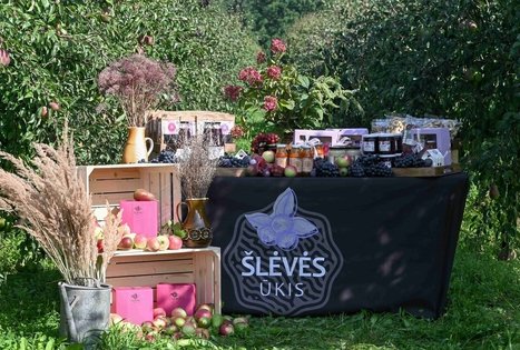 Uogų ir vaisių kelias