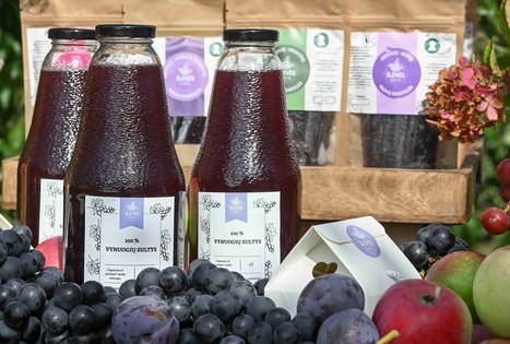 Uogų ir vaisių kelias