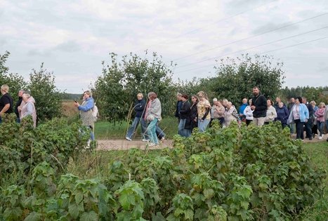 Uogų ir vaisių paslaptys Šlėvės ūkyje