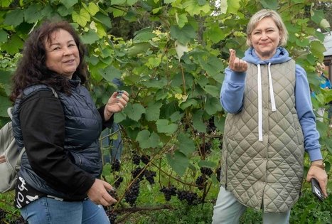 Uogų ir vaisių paslaptys Šlėvės ūkyje