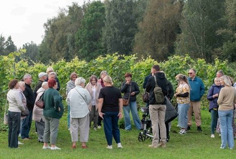 Uogų ir vaisių paslaptys Šlėvės ūkyje