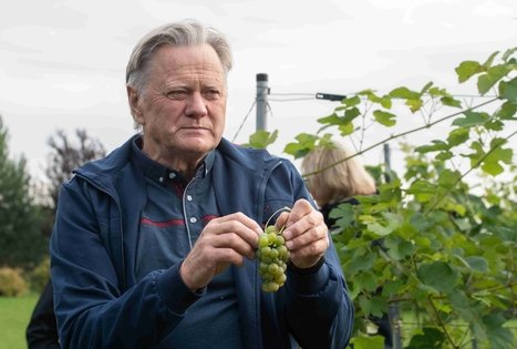 Uogų ir vaisių paslaptys Šlėvės ūkyje