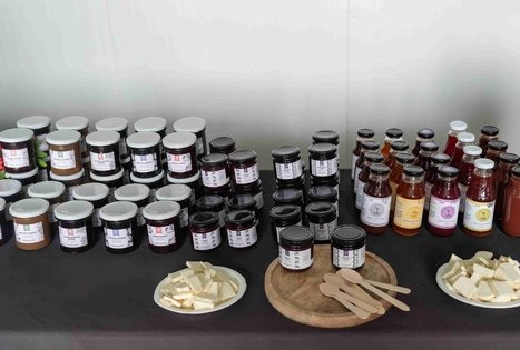 Uogų ir vaisių paslaptys Šlėvės ūkyje