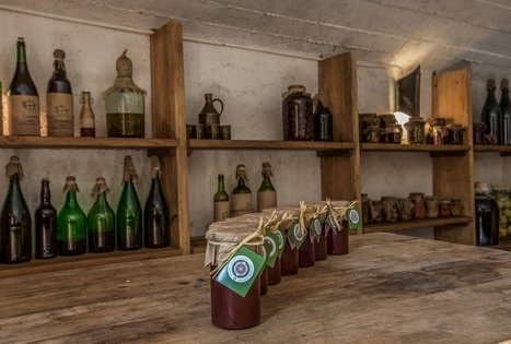 Etnografinis rūsys L. ir S. Sadauskų kaimo turizmo sodyboje