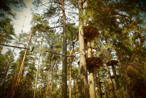 Stihl virvių parkas