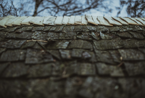 Stogdengystės amatas: nuo šalčio, lietaus ir vėjo