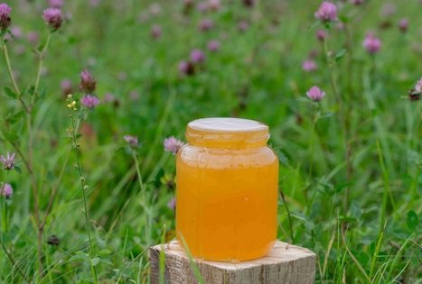 Šušvės istorijos: bičių, medaus ir midaus tradicijos