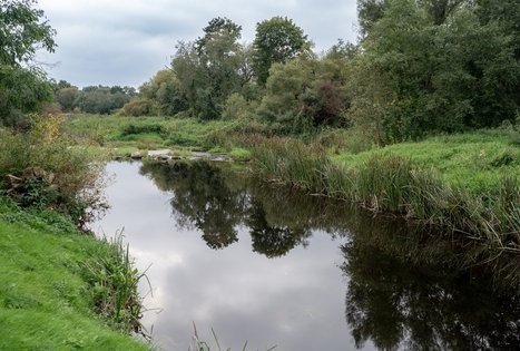 Sodyba „Šušvė“