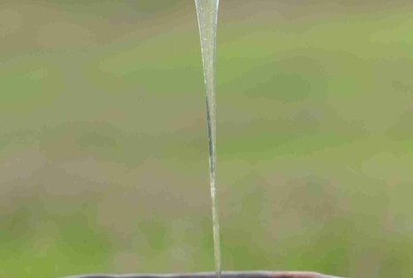 Šušvės istorijos: bičių, medaus ir midaus tradicijos