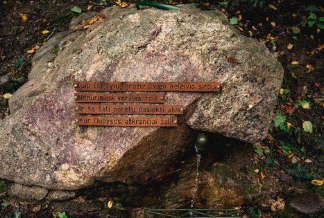 Miško Takas 69. Kirkšnovė – Kaulakiai.