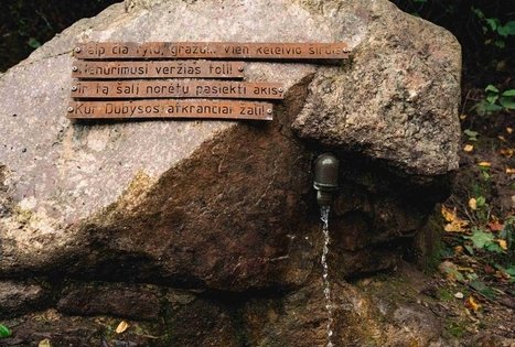 Miško Takas 69. Kirkšnovė – Kaulakiai.