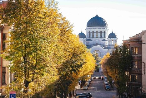 Miško Takas 63. Vaišvydava – Kaunas.