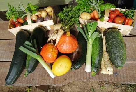 Ekologinis-biodinaminis ūkis „Miško sodai“