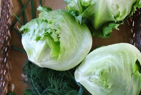 Ekologinis-biodinaminis ūkis „Miško sodai“