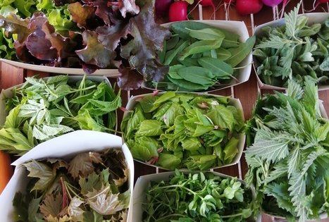 Ekologinis-biodinaminis ūkis „Miško sodai“