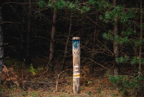 Miško Takas 69. Kirkšnovė – Kaulakiai.