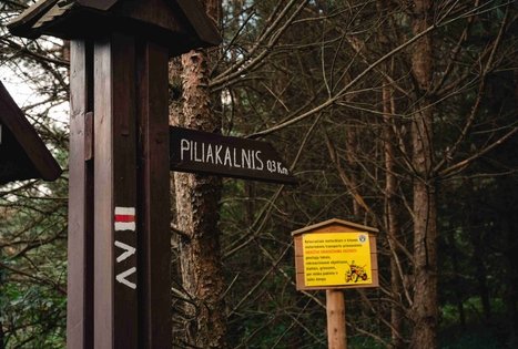 Miško Takas 69. Kirkšnovė – Kaulakiai.