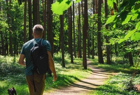 Miško Takas 60. Birštonas – Alksniakiemis.