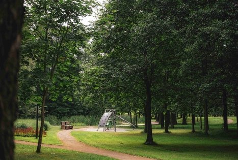 Miško Takas 68. Padubysys – Ariogala – Kirkšnovė.