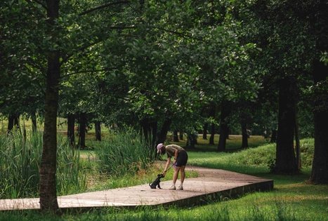 Miško Takas 68. Padubysys – Ariogala – Kirkšnovė.