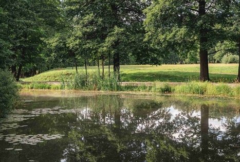 Miško Takas 68. Padubysys – Ariogala – Kirkšnovė.