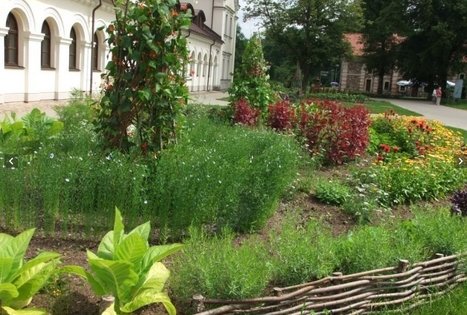 Traupio botanikos daržas