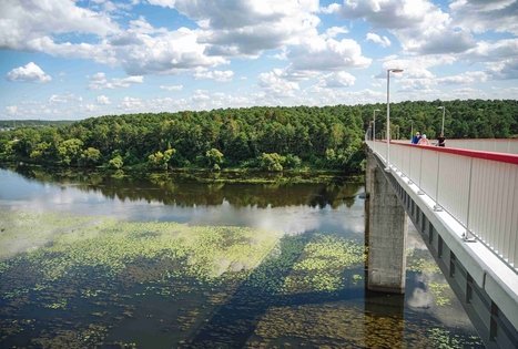 Miško Takas 63. Vaišvydava – Kaunas.