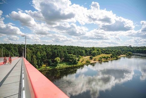 Miško Takas 63. Vaišvydava – Kaunas.