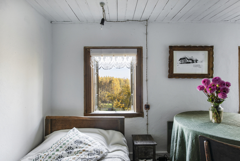 Sodyba „Pagulbis“