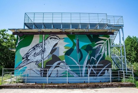 Tulkiaragės pažintinis takas