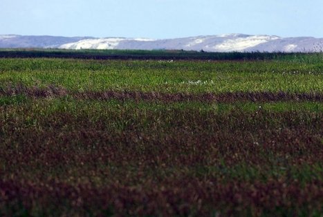 Tyrų pažintinis takas