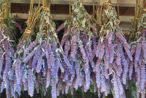 Aplinkos ir sveikatingumo ūkis „Upmaļi“ / „Upės krantai“