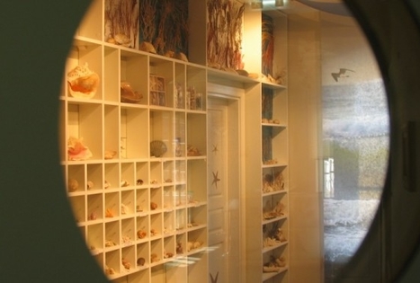 Vidos Žilinskienės „Jūrų muziejus“