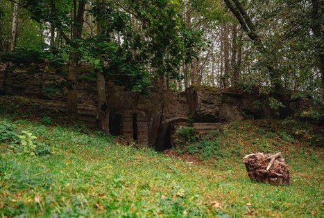 Miško Takas 62. Pakuonis – Vaišvydava.