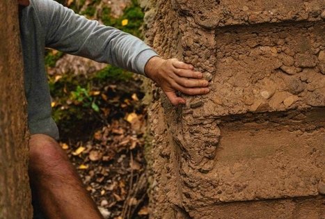 Miško Takas 62. Pakuonis – Vaišvydava.