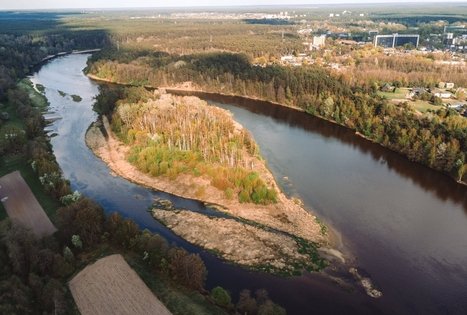 Miško Takas 54. Didžiasalis – Druskininkai – Žiogeliai.