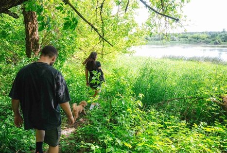 Miško Takas 65. Lampėdžiai – Kulautuva.