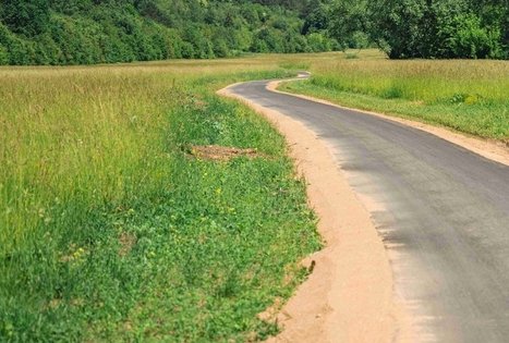 Miško Takas 65. Lampėdžiai – Kulautuva.