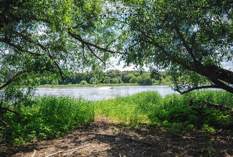 Miško Takas 65. Lampėdžiai – Kulautuva.