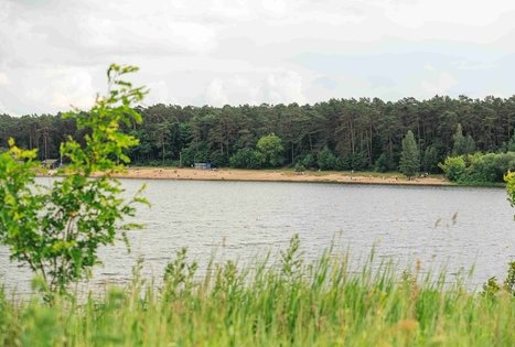 Miško Takas 65. Lampėdžiai – Kulautuva.