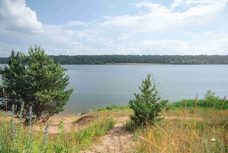 Miško Takas 65. Lampėdžiai – Kulautuva.