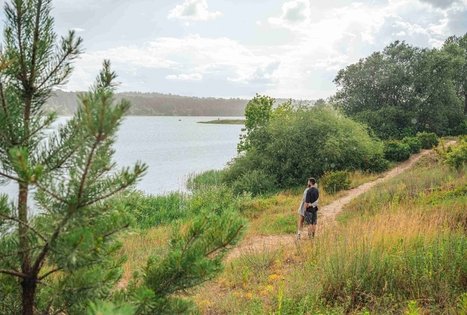 Miško Takas 65. Lampėdžiai – Kulautuva.