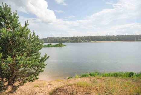 Miško Takas 65. Lampėdžiai – Kulautuva.