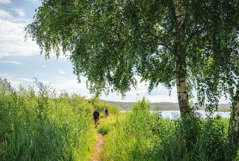 Miško Takas 65. Lampėdžiai – Kulautuva.