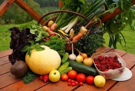 Ūkis „Kitoks daržas“