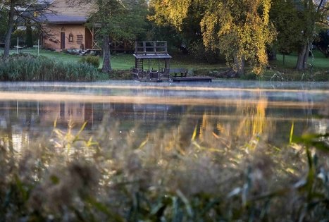 Veisiejų dvaro parkas
