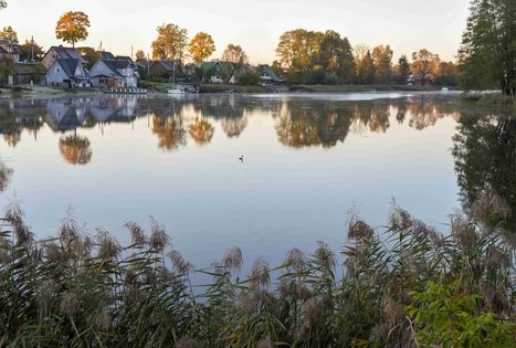 Veisiejų dvaro parkas