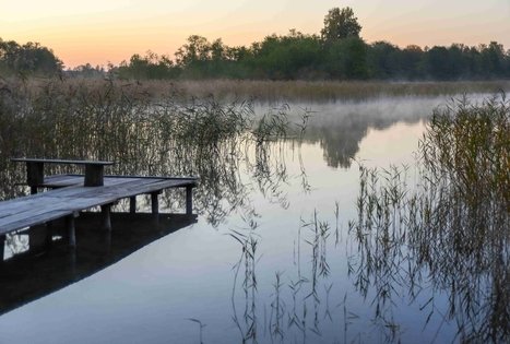 Veisiejų dvaro parkas
