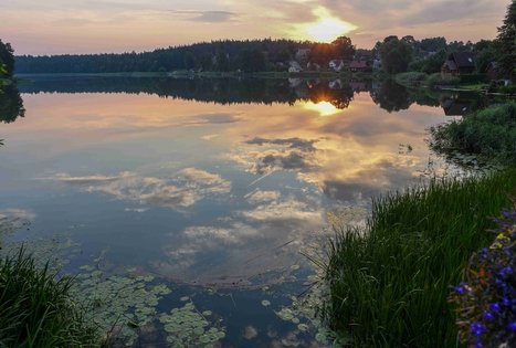 Veisiejų dvaro parkas