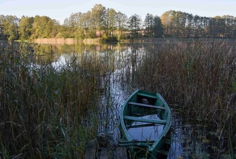 Veisiejų dvaro parkas